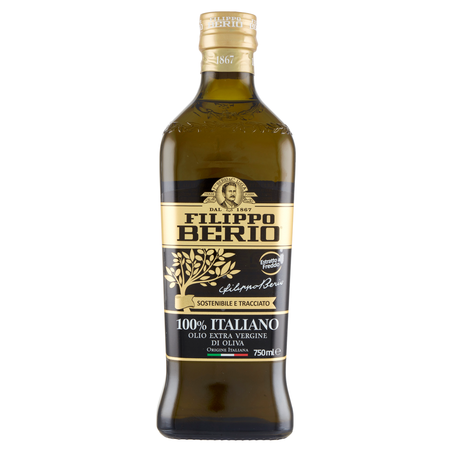 Berio Olio EVO Italia