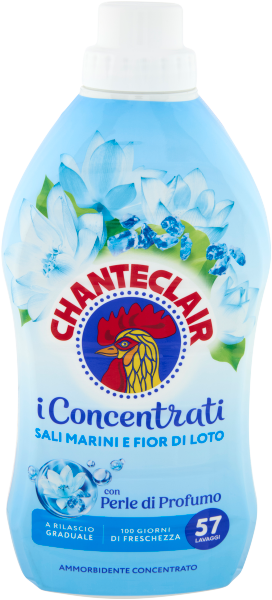 Chanteclair Amm Blu