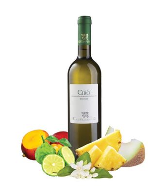 Ciro Doc Bianco 2024