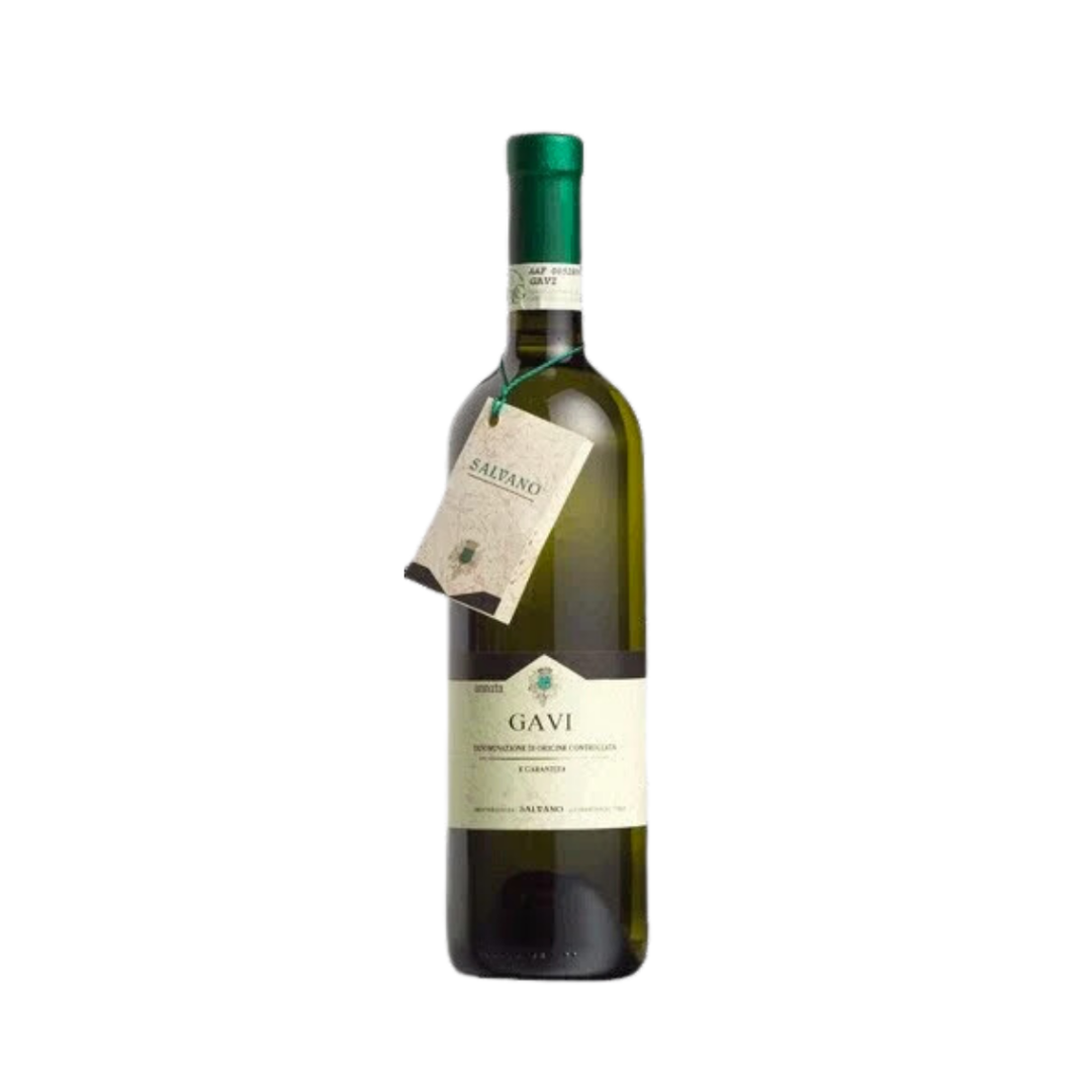Gavi Salvano